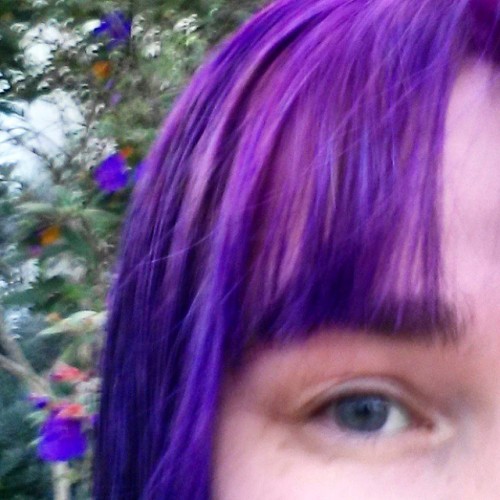 Mischief managed! #Purple has been restored adult photos