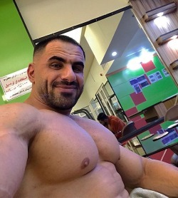 offseasonbodybuilders:  Yasin Amanipour