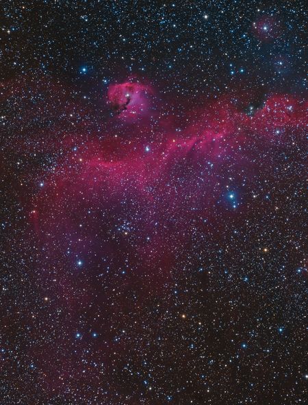 gravitationalbeauty:  IC 2177(The Seagull Nebula) by Louie Atalasidis