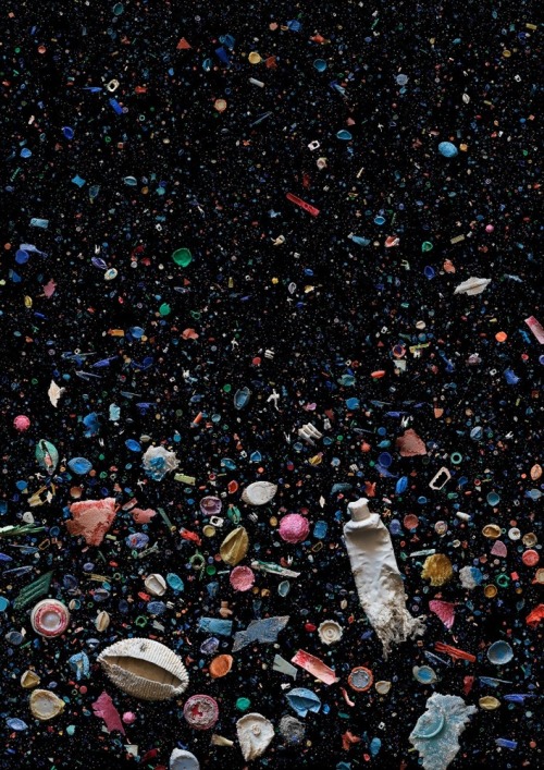 nevver:  Paradise lost