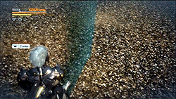 downatpumpkinhill:  babylonian:  there’s a cat in Bayonetta 2 that backflips out of the way when you attack it. game of the year    He’s back. 