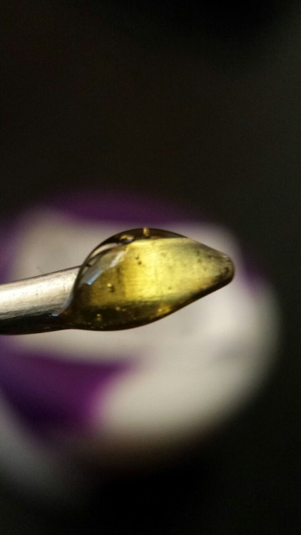 Porn Pics dabbydabs:  Dab of some XJ-13 by The Clear