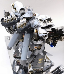 mechaddiction:  GUNDAM GUY: MG 1/100 MSN-04