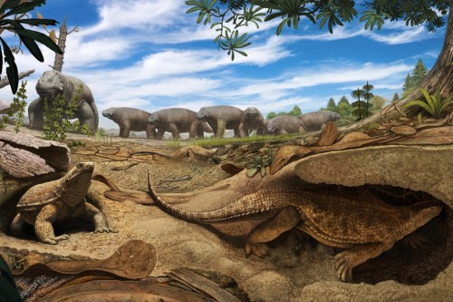 Turtle shells first evolved for digging, then protection.“&hellip;big claws for breaking up soil, an