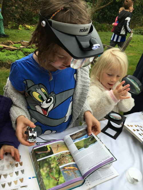 MOTHIFY PROJECT 2016 Woodcraft Group, Berkshire September 24th Post 3 of 6
There are lots of people in this group but they were all quite careful with the moths and really enjoyed looking at them. The session we did before was in June so these were...