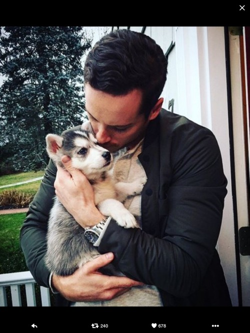 soovermyself:  Reblog if you agree that Bushfer needs a puppy.  Look how gentle they both are with t