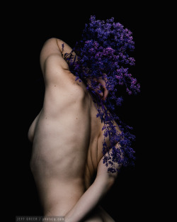photojg:violet round us Copyright Jeff Greer.
