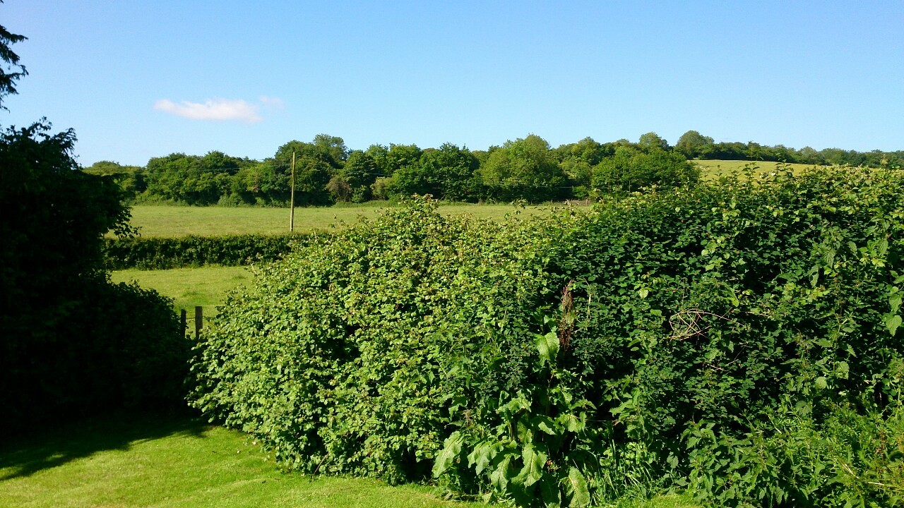 Sunday morning sunshine in Burghclere.