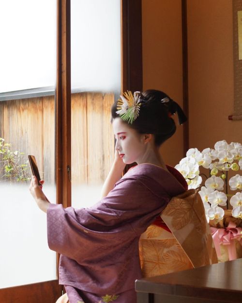 Maiko Umehina in her last week as Maiko(SOURCE)