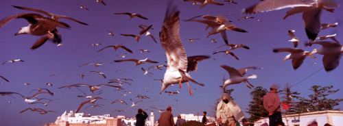 hopeful-melancholy:  Morocco, 2000.