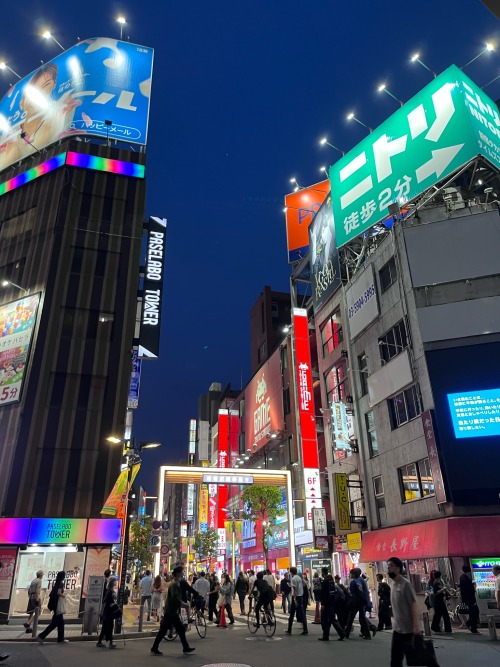 You Went To Osaka ?!?! That Sounds So Fun Omg How Was It There ?? Did You Encounter Any Maur Maurs >:)