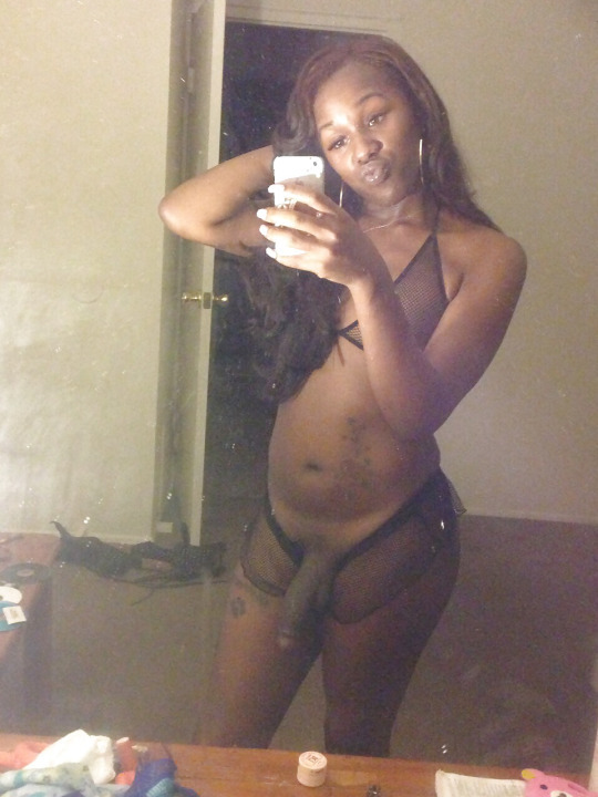 tgrlz:  Reblog, like and follow us at @ http://tgrlz.tumblr.comRandom shemale cams