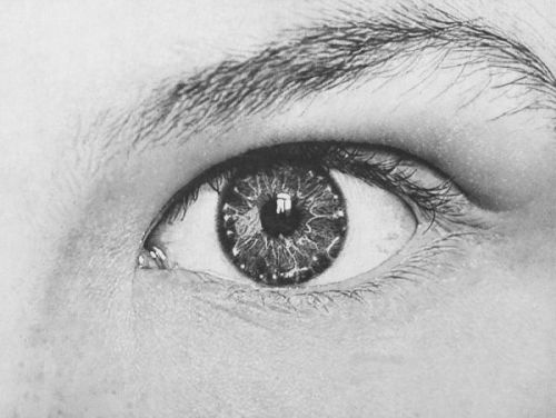 nevver:  The eyes have it: Captured on paper, Sonja Gangl