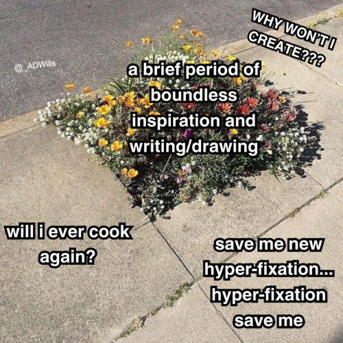 a meme  a patch of flowers growing in the middle of a sidewalk labelled as "a brief period of boundless inspiration and writing/drawing"  the surrounding sidewalk without flowers is labelled: will i ever cook again?, save me new hyper-fixation... hyper-fixation save me, WHY WON'T I CREATE???