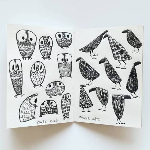 themewster:10/27-10/28 owls and ravens.More birbsssss kekekekeke***#inktober2017 #inktober #inkdoodl