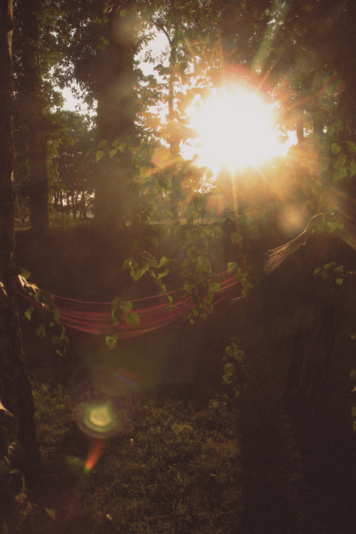 the-soul-tribe:✧ ॐ ❂ ☼ love and light ☼ ❂ ॐ ✧