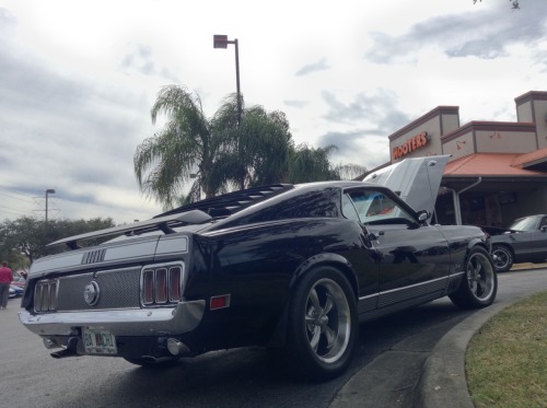 hobbs-photo:  Killer turn out at Hooters Sanford, FL 