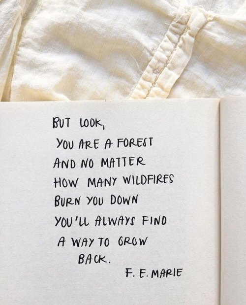 akindplace: F. E. Marie[Image Text: But look, you are a forest, and no matter how many wildfires b