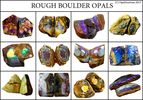 opalauction: Boulder rough specimens  from Queensland Australia