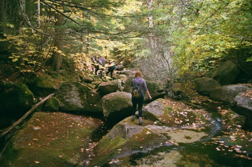 AutumnWhite Mountains, NH