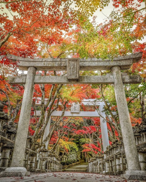  Kashima Shrinealojapan.com