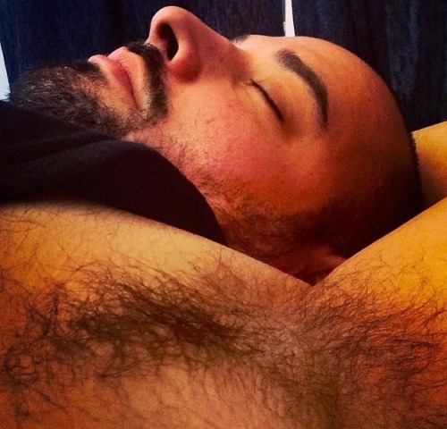 bearpitpig:  #HairyPits #Armpits #Bear #Pits #MuscleBear #Hairy #Pig #Furry #FurryPits #Pit #ManlyPits