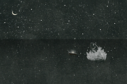 spacebleed:  Home
