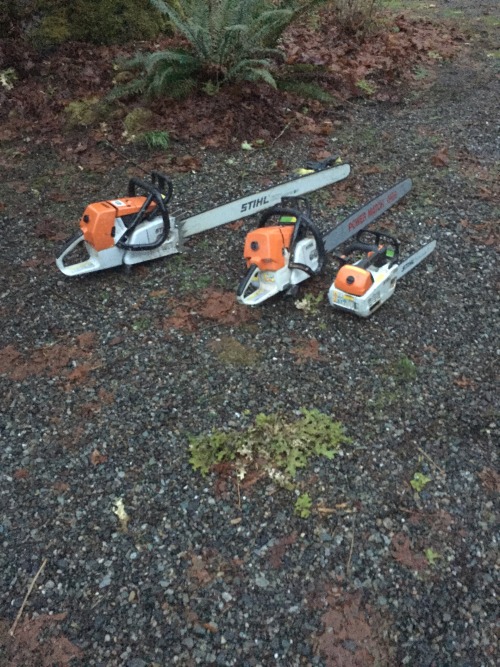 Helped my buddy and his dad cut down some dangerous trees that were going to fall on a house (½)