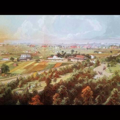 ‘Harlem. From the old Fort in the Central Park’Detail of an original chromolithograph 