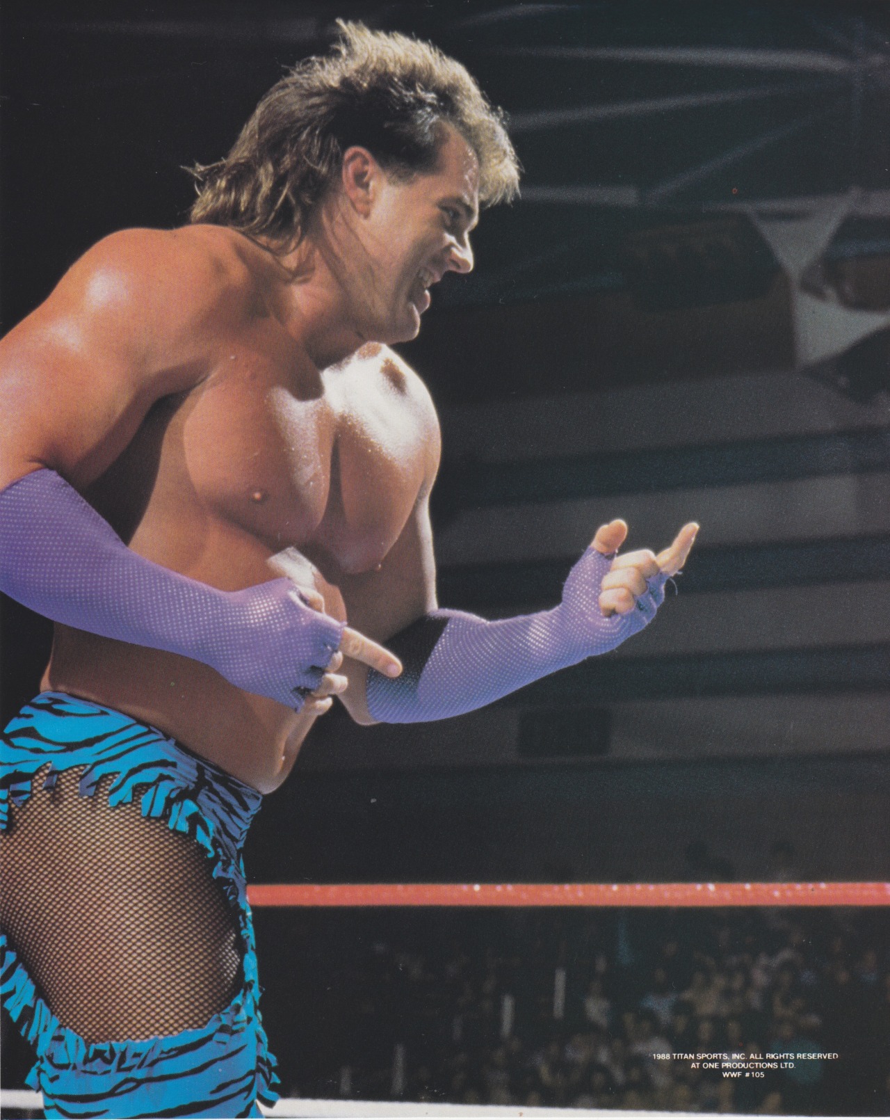 Brutus Beefcake - The Fishbulb Suplex