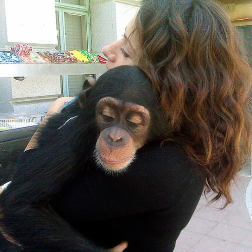 i-am-roadrunner: sarahshahi: #tbt to shooting LIFE, and to the chimp that ignited my motherly instin