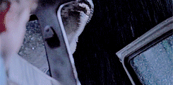 hazel-swan: T  U  R  N      T  H  A  T      L  I  G H T     O F