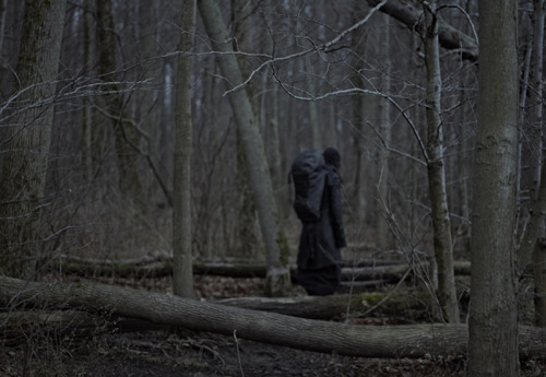 likeafieldmouse:  Xi Sinsong - Pilgrimage (2012)