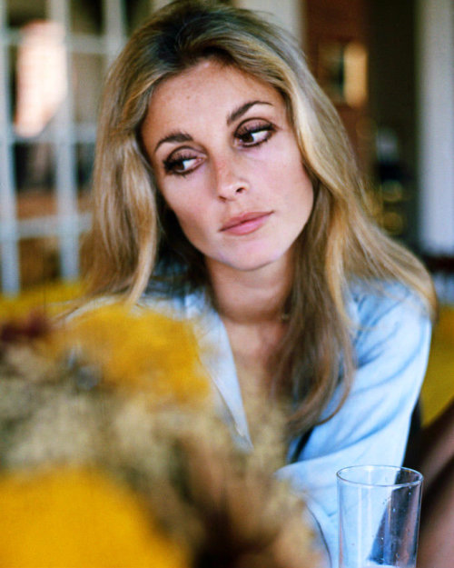 ciao-belle - Sharon Tate,1965