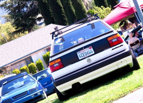 danny-1984:  Mk2 jettas :)