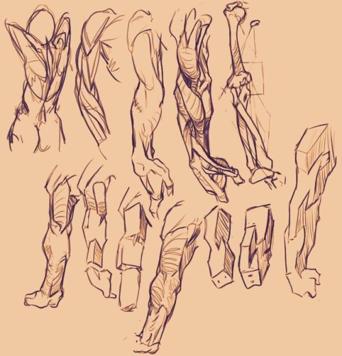 d-floe: assorted sketches and studies in chronological order
