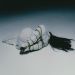 idieinmydaydream:Lera Dopirchuk