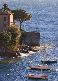 allthingseurope:  Lago di Como, Italy (by