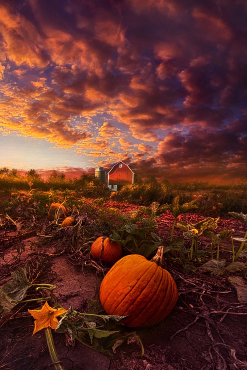 luxuriousimpressions:    Echos You Can See By Phil Koch