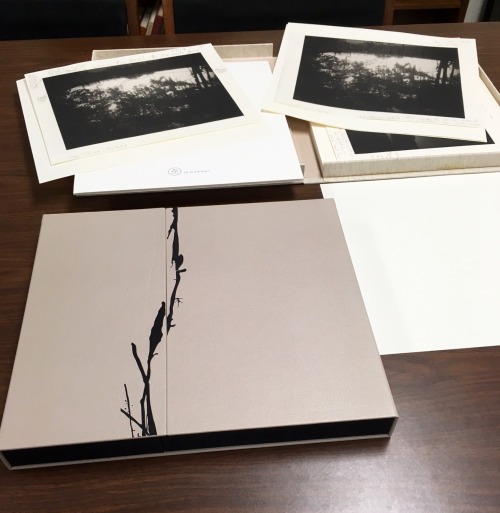 New Acquisition: Southern Landscapes Published by 21st century editions, this gorgeous book is a lim