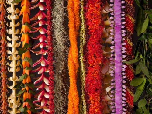 whoobin:I am so over people thinking that Leis look like this: A lei takes hard time and vigorous wo