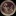 litterae-nimiam:When Oscar Wilde wrote: &ldquo;Behind every exquisite thing that