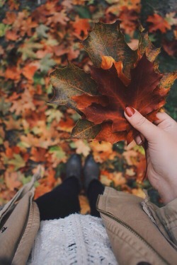 Let's Fall In Love with Autumn!