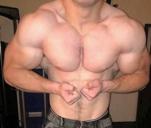 Porn photo serbian-muscle-men:  young Serbian powerlifter