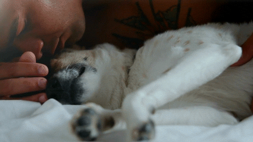 KENNETH GUIDROZ Man&rsquo;s Best Friend&hellip;