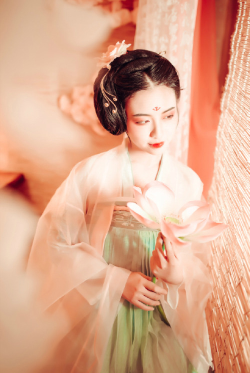 hanfugallery:Traditional Chinese hanfu 齐胸襦裙+大袖衫