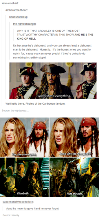 arwcnevenstar:  I feel like the Pirates of the Caribbean fandom deserves more appreciation 