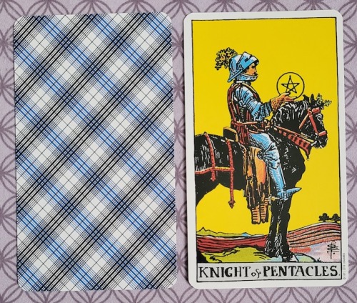Knight of PentaclesUpright - Efficiency, eventual positive outcome, heavy outlook, methodical, patie