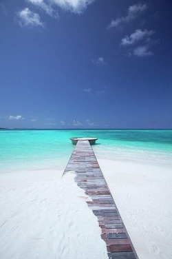 gentlemansessentials:  Maledives   Gentleman’s Essentials