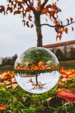 plasmatics:  Autumn | Glass Ball by Andrius